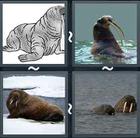4 Pics 1 Word answers and cheats level 2336