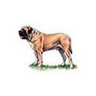 100 Pics answers and cheats level 1-50