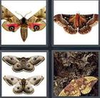 4 Pics 1 Word answers and cheats level 3474