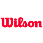 Logos Quiz level 9-4