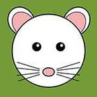 100 Pics answers and cheats level 1-50