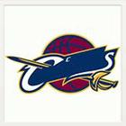Sports Logos Quiz answers and cheats level 4-10