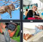 4 Pics 1 Word answers and cheats level 855