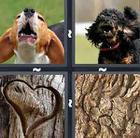 4 Pics 1 Word answers and cheats level 107