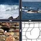 4 Pics 1 Word answers and cheats level 404