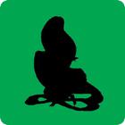 Shadow Quiz answers and cheats level 237