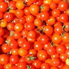 Close Up Food answers and cheats level 4-10