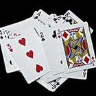 Close Up Pics answers and cheats level 14-7
