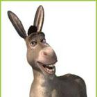 Guess The Character: Cartoon answers level 2