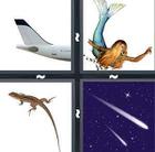 4 Pics 1 Word answers and cheats level 717