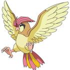 Poke Icon answers and cheats level 91-100