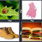 4 Pics 1 Word answers and cheats level 2444