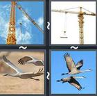 4 Pics 1 Word answers and cheats level 2518