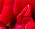 Zoomed In answers and cheats level 131-140