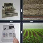 4 Pics 1 Word answers and cheats level 724