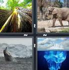 4 Pics 1 Word answers and cheats level 1313