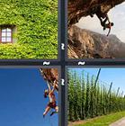 4 Pics 1 Word answers and cheats level 1203