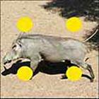 100 Pics answers and cheats level 51-100