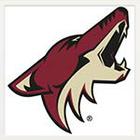 Sports Logos Quiz answers and cheats level 9-5