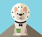 Icon Pop Quiz answers TV and Film pack level 35