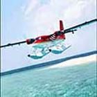 100 Pics answers and cheats level 51-100