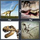 4 Pics 1 Word answers and cheats level 2144