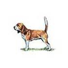 100 Pics answers and cheats level 1-50