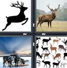 4 Pics 1 Word answers and cheats level 1371