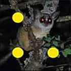100 Pics answers and cheats level 51-100