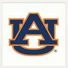 Sports Logos Quiz answers and cheats level 15-8