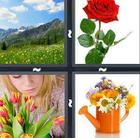 4 Pics 1 Word answers and cheats level 562
