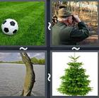 4 Pics 1 Word answers and cheats level 2549