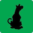 Shadow Quiz answers and cheats level 6