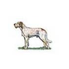 100 Pics answers and cheats level 51-100