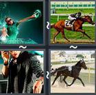 4 Pics 1 Word answers and cheats level 2805