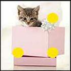 100 Pics answers and cheats level 1-50