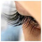 Close Up Pics answers and cheats level 17-10