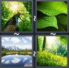4 Pics 1 Word answers and cheats level 2099