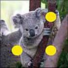 100 Pics answers and cheats level 1-50
