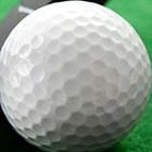 Close Up Pics answers and cheats level 20-9