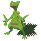Poke Icon answers and cheats level 11-20