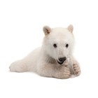Infinite Pics level 33 Animals