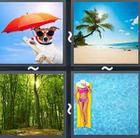 4 Pics 1 Word answers and cheats level 2529