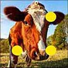 100 Pics answers and cheats level 1-50
