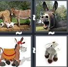 4 Pics 1 Word answers and cheats level 1497