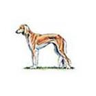 100 Pics answers and cheats level 51-100