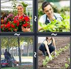 4 Pics 1 Word answers and cheats level 2423