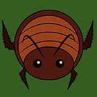 100 Pics answers and cheats level 51-100