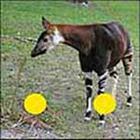 100 Pics answers and cheats level 51-100