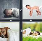 4 Pics 1 Word answers and cheats level 183